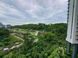 Normanton Park (D5), Apartment #604501411